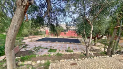 Rustic Finca in Sangonera La Seca photo 21