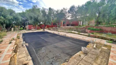 Rustic Finca in Sangonera La Seca photo 22