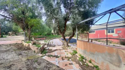 Rustic Finca in Sangonera La Seca photo 24