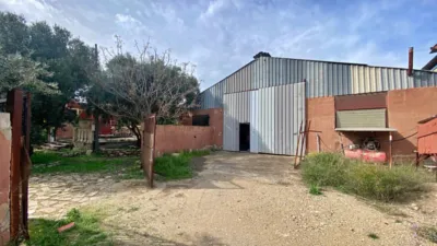 Rustic Finca in Sangonera La Seca photo 25