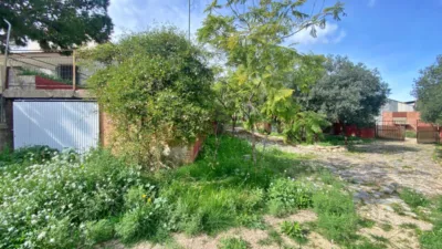 Rustic Finca in Sangonera La Seca photo 26