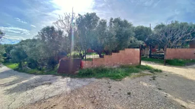 Rustic Finca in Sangonera La Seca photo 31