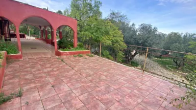 Rustic Finca in Sangonera La Seca photo 6