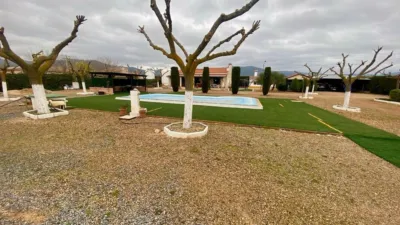 Miniatura 10