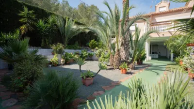 Chalet in El Palmar photo 7