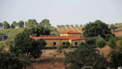 Rustic Finca on Parcela 68 Street photo 31
