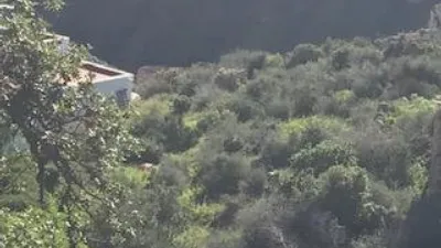 Rustic farm on Calle 0 photo 6