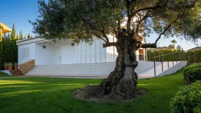 House in Monforte del Cid - Vista 4