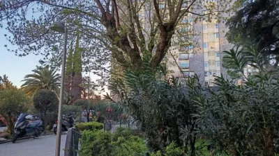 Piso en alquiler en Plaza del Doctor Laguna - Imagen 2