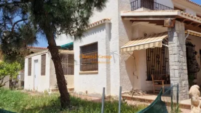 Casa – Elx - Elche - Vista 2