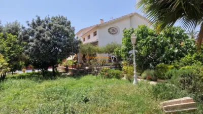 Casa – Elx - Elche - Vista 4