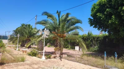 Casa – Elx/Elche, Hospital del Vinalopó, el Baix Vinalopó - Vista 5