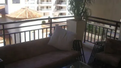 Pis – Elche, el Baix Vinalopó - Vista 4