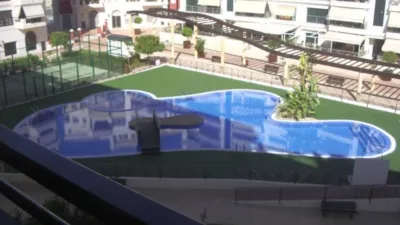 Pis – Elche, el Baix Vinalopó - Vista 5