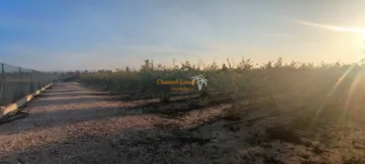 Terreno en venta en Carretera Dolores - Vista 2
