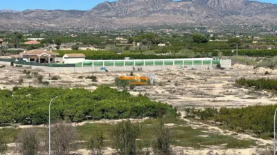 Apartment in Albatera photo 24