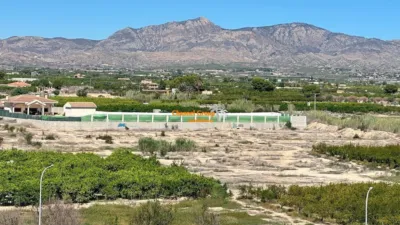 Apartment in Albatera photo 2