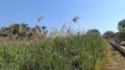 Terreno en venta en La Hoya-Daimes-El Derramador - Vista 2