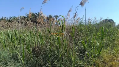 Terreno en venta en La Hoya-Daimes-El Derramador - Vista 5