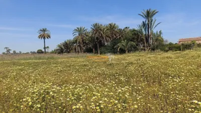 Terreno en venta en La Hoya-Daimes-El Derramador - Más
