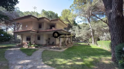 Chalet in Los Llanos photo 2
