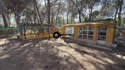 Chalet in Los Llanos photo 5