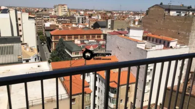 Pis – Albacete, La Pajarita - Vista 3