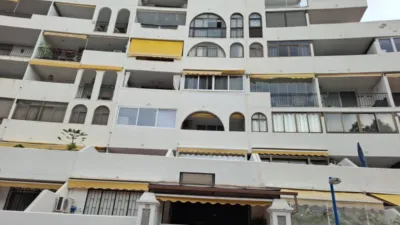 Apartment on Orquídeas Street photo 25