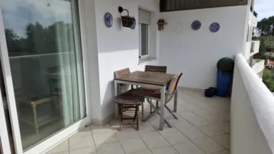 Apartment on Orquídeas Street photo 26