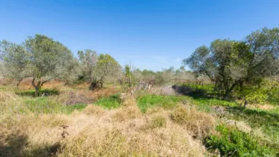 Casa en venta en Calle Font de la Salud, 16, Norte (Castelló de la Plana) de 75.000 €