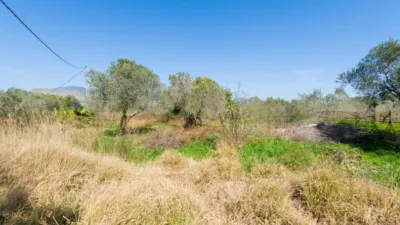 Casa en venta en Calle Font de la Salud, 16, Norte (Castelló de la Plana) de 75.000 €