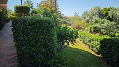 Apartment on Calle de la Chumbera photo 47