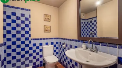 Chalet on Calle de las Cañas photo 29
