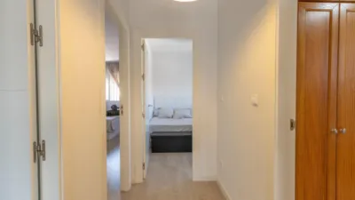 Apartment on Fernando de Rojas Street photo 14
