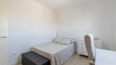 Apartment on Fernando de Rojas Street photo 20