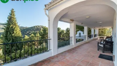 Chalet on Cortijo Salinas Street photo 56