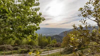 Rustic Finca on Camino de la Sierra photo 6