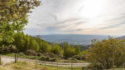 Rustic Finca on Camino de la Sierra photo 8