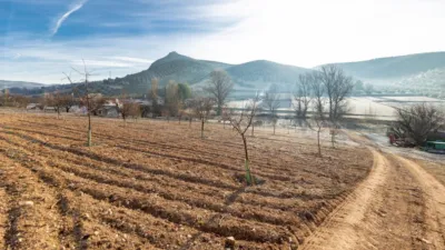 Rustic finca at Calle Cagalona, No. 3 photo 9
