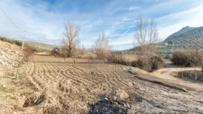 Rustic finca at Calle Cagalona, No. 3 photo 11
