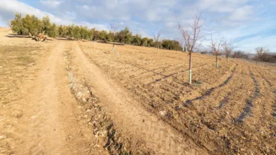 Rustic finca at Calle Cagalona, No. 3 photo 12