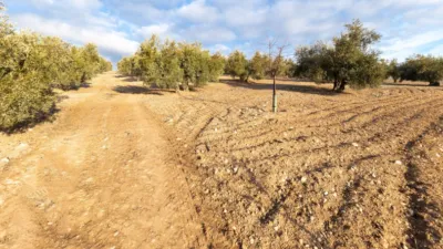 Rustic finca at Calle Cagalona, No. 3 photo 13