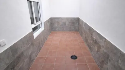 Apartment in Elx photo 18