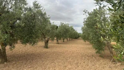 Chalet en venta en Avenida de Joaquín Costa, Caspe de 259.900 €