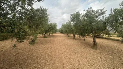 Chalet en venta en Avenida de Joaquín Costa, Caspe de 259.900 €