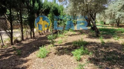 Rustic Finca in Trigueros photo 10