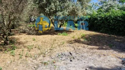 Rustic Finca in Trigueros photo 11