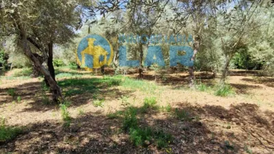 Rustic Finca in Trigueros photo 12
