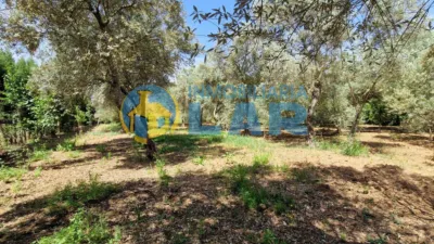 Rustic Finca in Trigueros photo 13