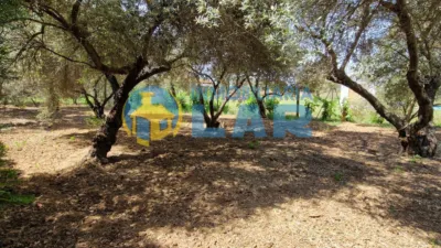 Rustic Finca in Trigueros photo 14